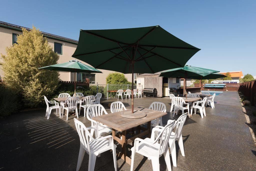 Lobster Inn Motel Kaikoura Dış mekan fotoğraf